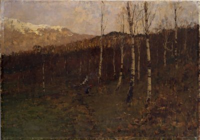Coppice Birch Forest by Bartolomeo Bezzi